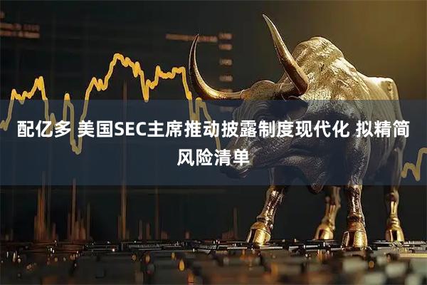配亿多 美国SEC主席推动披露制度现代化 拟精简风险清单